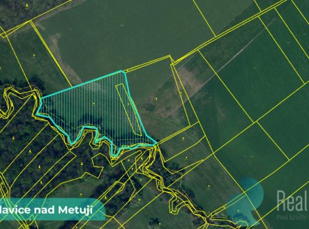 Prodej pozemku, zemědělská půda, 43 749 m²