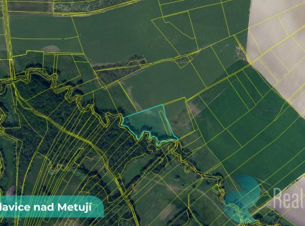 Prodej pozemku, zemědělská půda, 43 749 m²