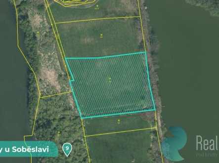 Prodej pozemku, trvalý travní porost, 11 561 m²