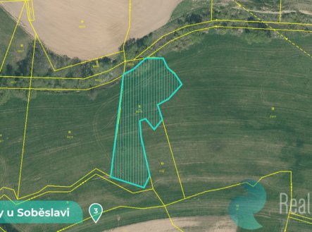 Prodej pozemku, trvalý travní porost, 11 561 m²