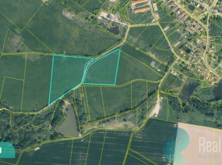 Prodej pozemku, trvalý travní porost, 12 559 m²