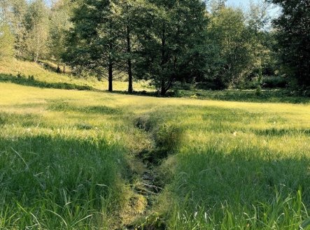 Prodej pozemku, trvalý travní porost, 6 838 m²