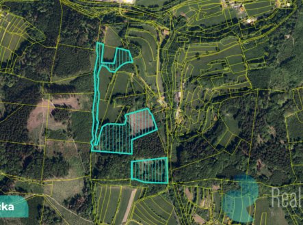 Prodej pozemku, les, 16 784 m²