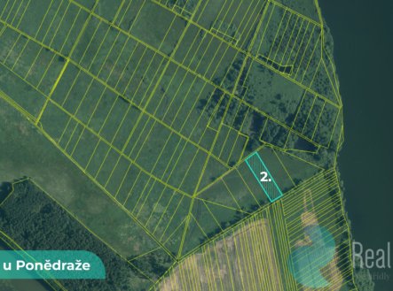 Prodej pozemku, zemědělská půda, 4 195 m²