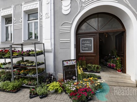 Pronájem obchodní prostory, 75 m²