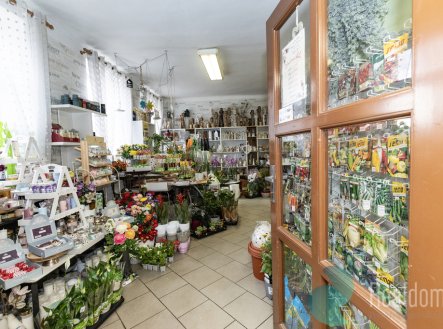 Pronájem obchodní prostory, 75 m²