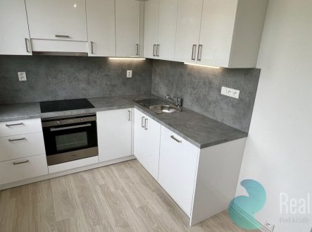 Pronájem bytu, 1+1, 40 m²