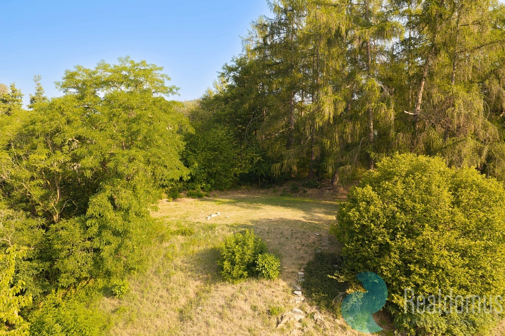 dji-20260731071749-0047-d.jpg