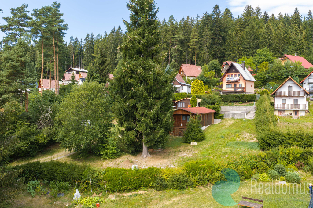 dji-20260810113327-0062-d.jpg