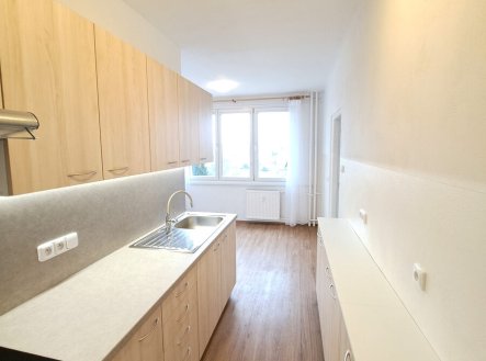 Pronájem bytu, 1+1, 50 m²