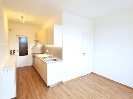 Pronájem bytu, 1+1, 50 m²