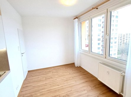 Pronájem bytu, 1+1, 50 m²