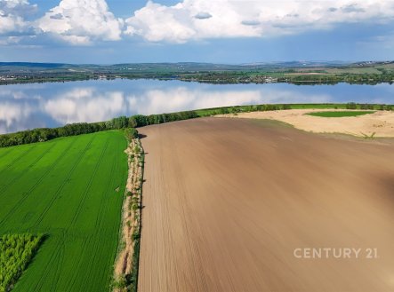 Prodej pozemku, zemědělská půda, 9 682 m²