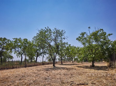 Prodej pozemku, zahrada, 1 034 m²