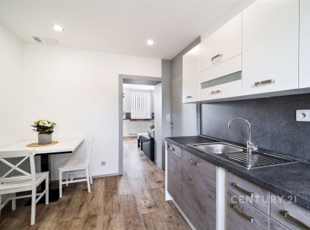 Pronájem bytu, 1+1, 52 m²
