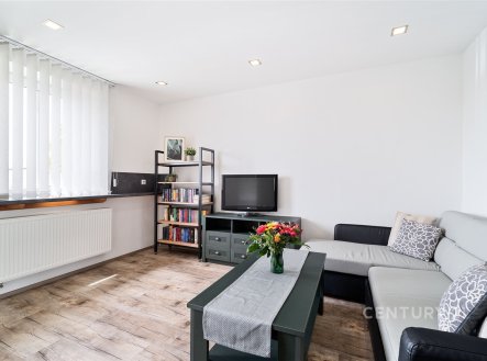 Pronájem bytu, 1+1, 52 m²