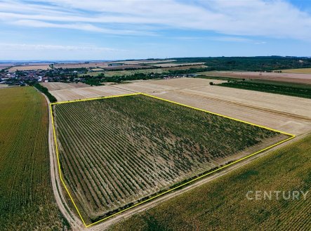 Prodej pozemku, zemědělská půda, 48 928 m²