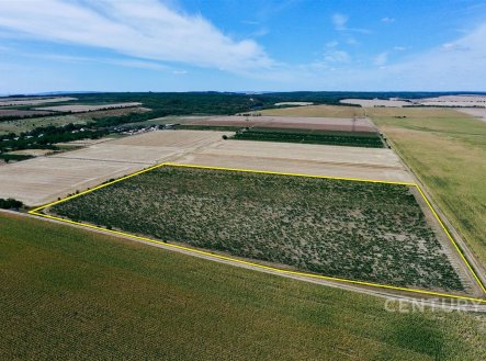 Prodej pozemku, zemědělská půda, 48 928 m²