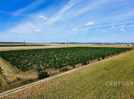 Prodej pozemku, zemědělská půda, 48 928 m²