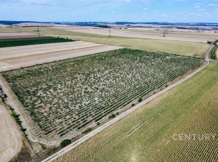 Prodej pozemku, zemědělská půda, 48 928 m²