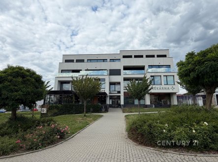 Pronájem bytu, 2+kk, 44 m²