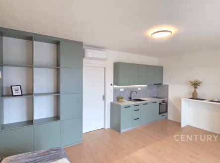 Pronájem bytu, 1+kk, 35 m² obrázek