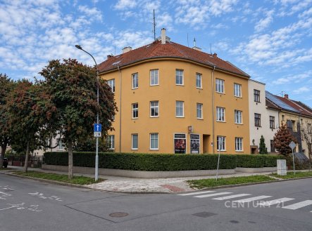Pronájem bytu, 1+1, 41 m²