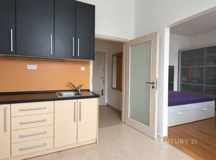Pronájem bytu, 1+1, 41 m²