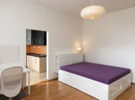 Pronájem bytu, 1+1, 41 m²