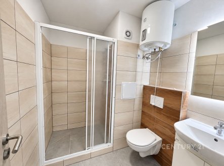 Pronájem bytu, 1+1, 37 m²
