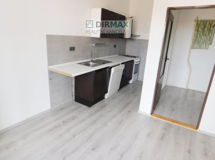 Pronájem bytu, 1+1, 48 m²