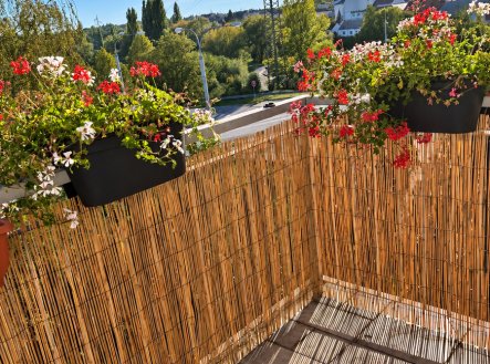 Pronájem bytu, 2+kk, 55 m²