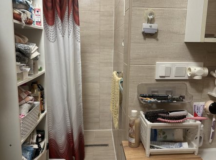 Pronájem bytu, 1+kk, 55 m²