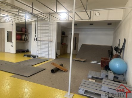 Pronájem komerčního objektu, jiný, 375 m²