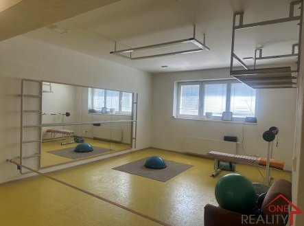 Pronájem komerčního objektu, jiný, 375 m²