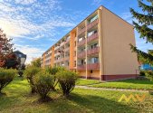 Pronájem bytu, 1+1, 42 m²