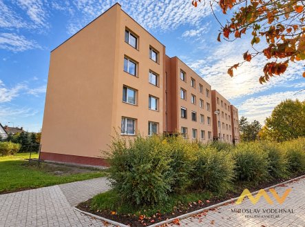 Pronájem bytu, 1+1, 42 m²