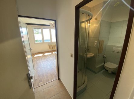 Pronájem bytu, 1+kk, 21 m²