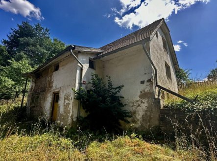 Prodej - dům/vila, 300 m²