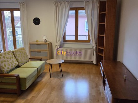 Pronájem bytu, 1+kk, 46 m² obrázek