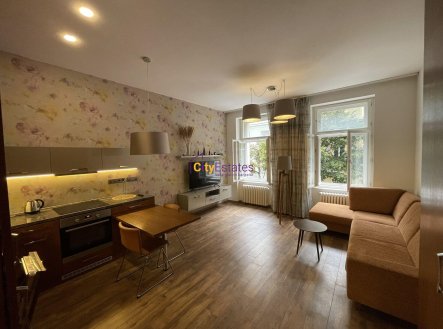 Pronájem bytu, 1+kk, 52 m²