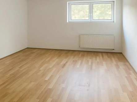 Pronájem bytu, jiný, 18 m²