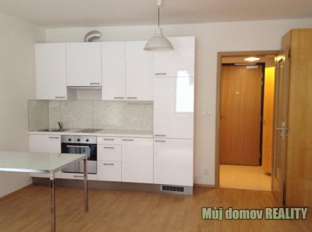 743563717_2477658412737769_5254925555234363560_n | Pronájem bytu, 1+kk, 38 m²