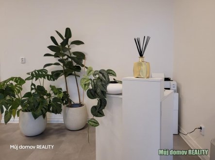 Pronájem obchodní prostory, 57 m²