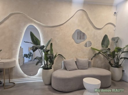 Pronájem obchodní prostory, 57 m²