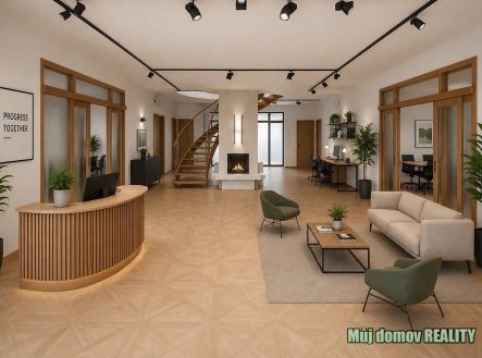 Pronájem domu/vily, 801 m²