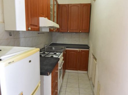 Pronájem bytu, 1+kk, 56 m²