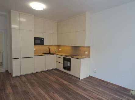 Pronájem bytu, 3+kk, 65 m²