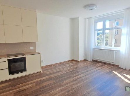 Pronájem bytu, 3+kk, 65 m²