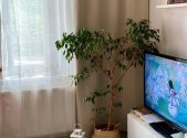 Pronájem bytu, 2+kk, 41 m²
